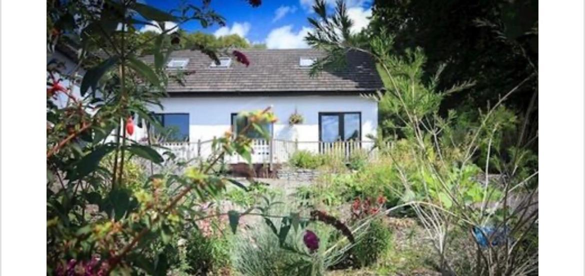 The Blue Cat Hotel Kenmare Luaran gambar